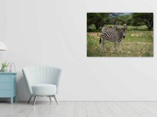 Simulazione Livingroom - Le Zebre Curiose