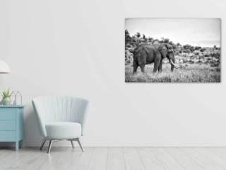 Simulazione Living room - L'Elefante Solitario