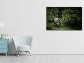 Simulazione Living room - The White Rhino