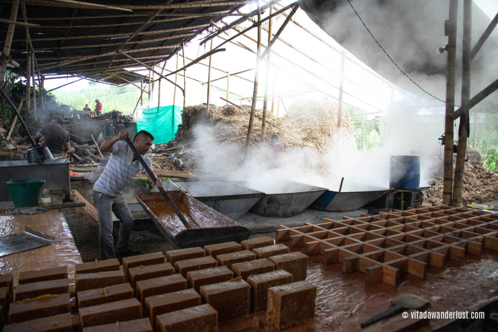 Produzione di panela