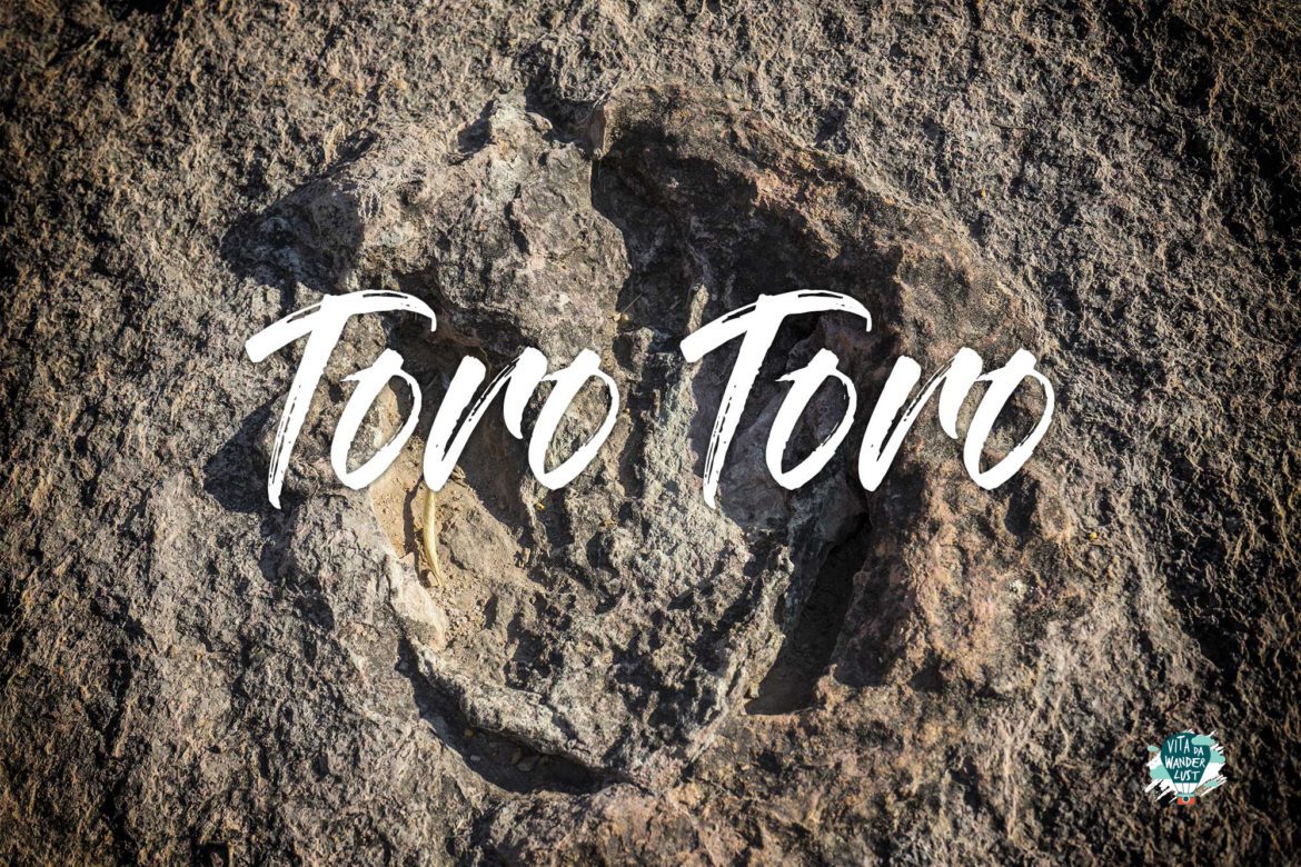 Toro Toro