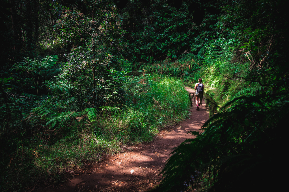 Sentiero Levada do Rei