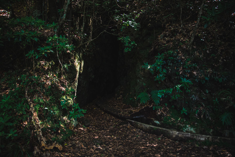 Levada do Furado