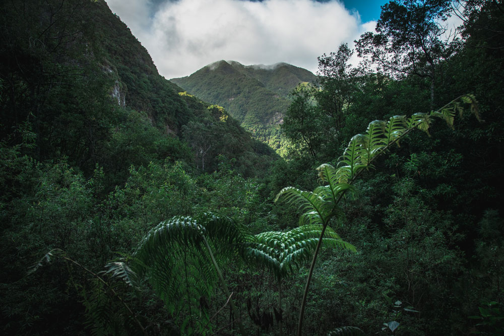 Levada Fajã do Rodrigues 