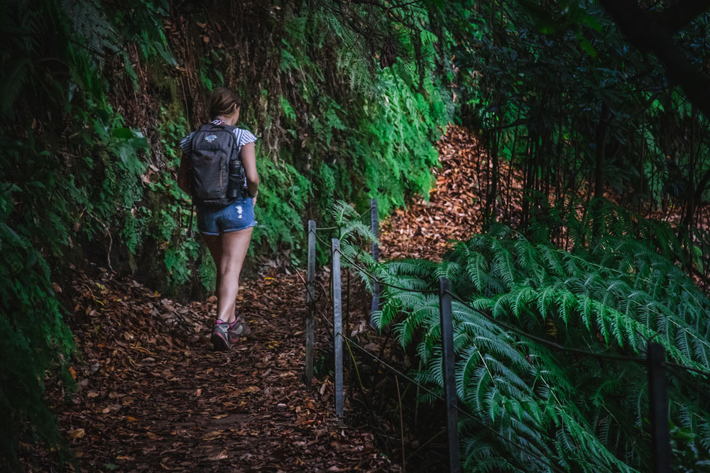 Hike Levada Fajã do Rodrigues 