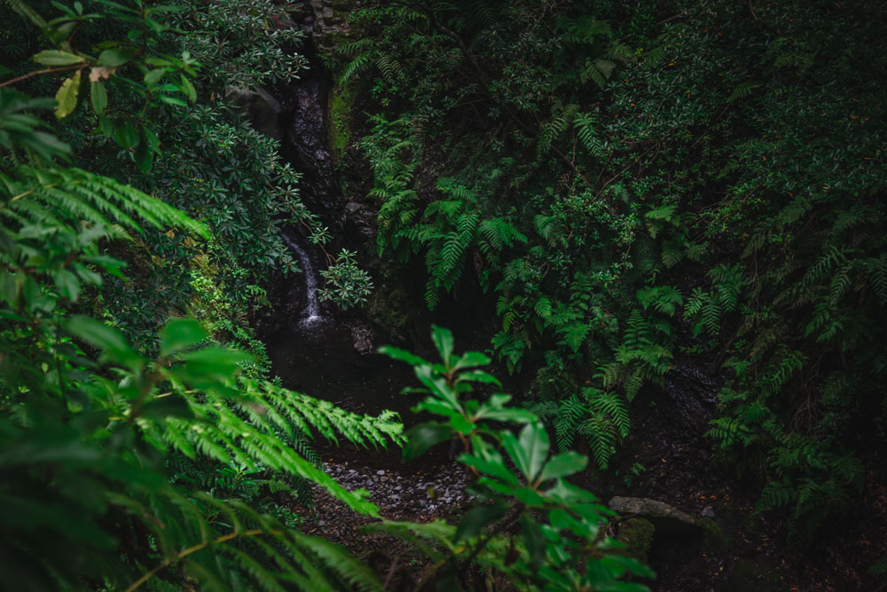 Cascata lungo la Levada Fajã do Rodrigues (PR16)