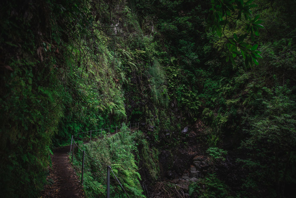 Parte del sentiero della Levada Fajã do Rodrigues (PR16)