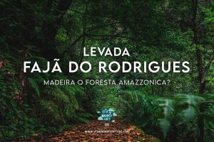 Levada-Fajã-do-Rodrigues-(PR16)