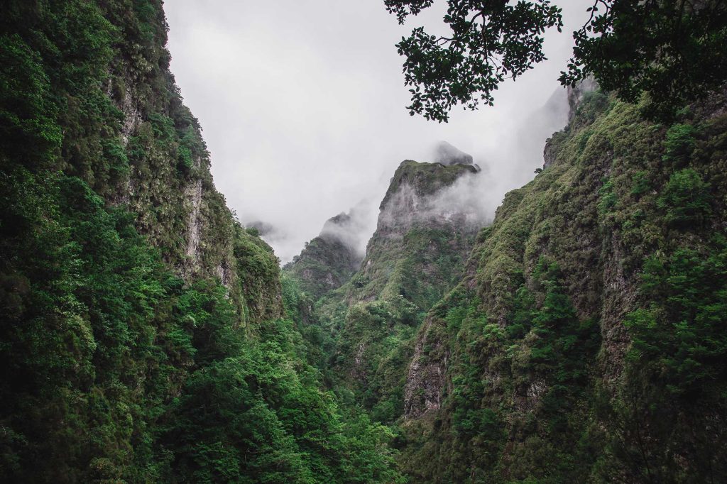 Cammini imperdibili di Madeira - Levada do Caldeirão do Inferno 