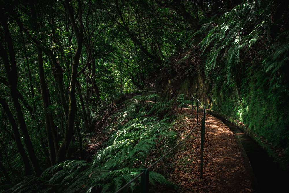 Cammini imperdibili di Madeira - Levada do Rei