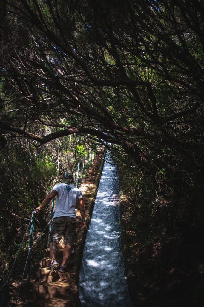 Levada lungo il sentiero