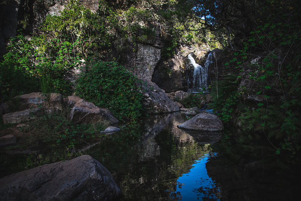 Lagoa Dona Beja - Levada do Alecrim