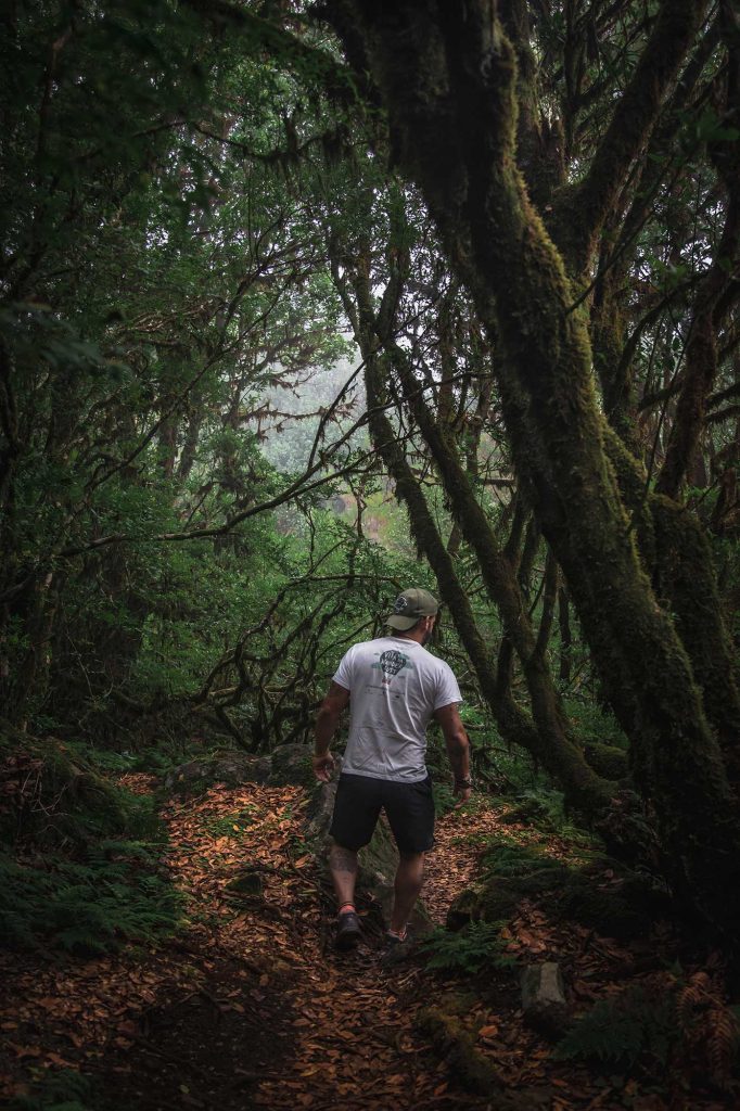 Camminando lungo la Vereda do Fanal