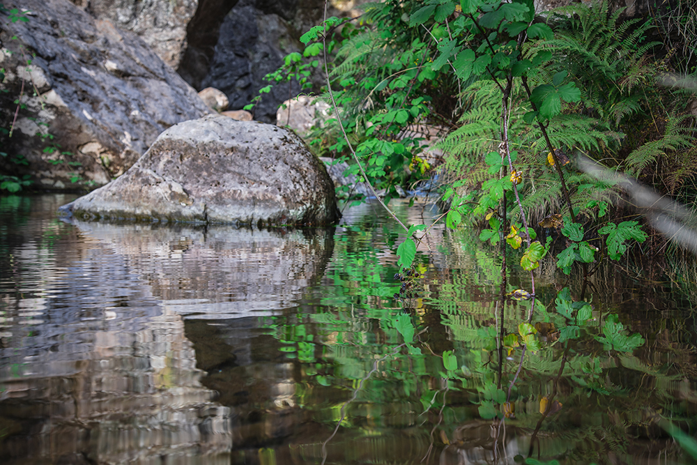 Riflessi Lagoa Dona Beja