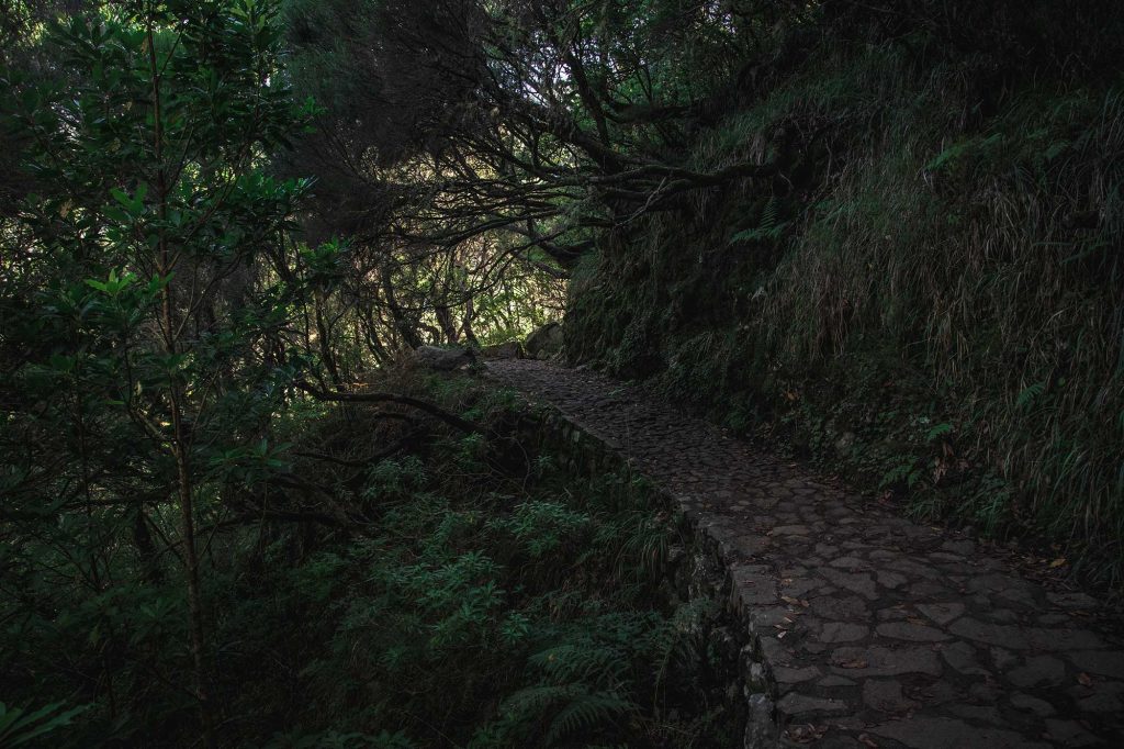 Cammini imperdibili di Madeira - Levada das 25 Fontes