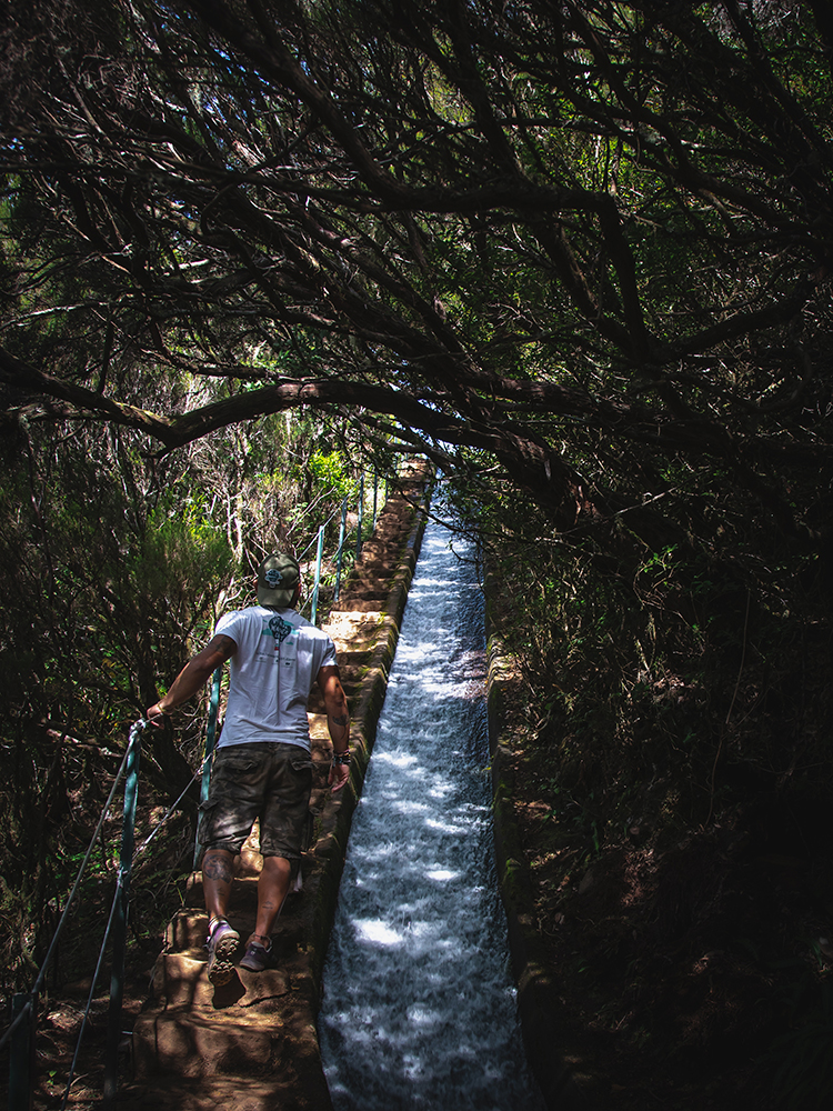 Lungo il sentiero della Levada do Alecrim