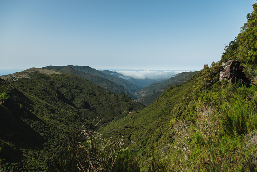 Il panorama dalla Levada do Alecrim