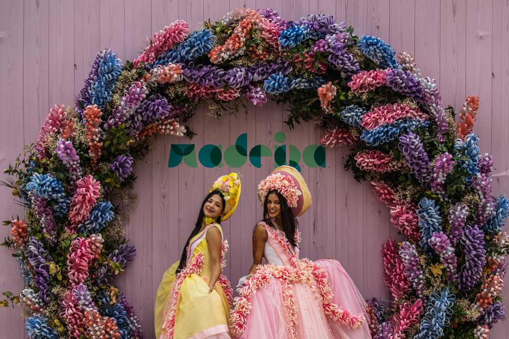 Cosa vedere a Madeira - Festival dei Fiori