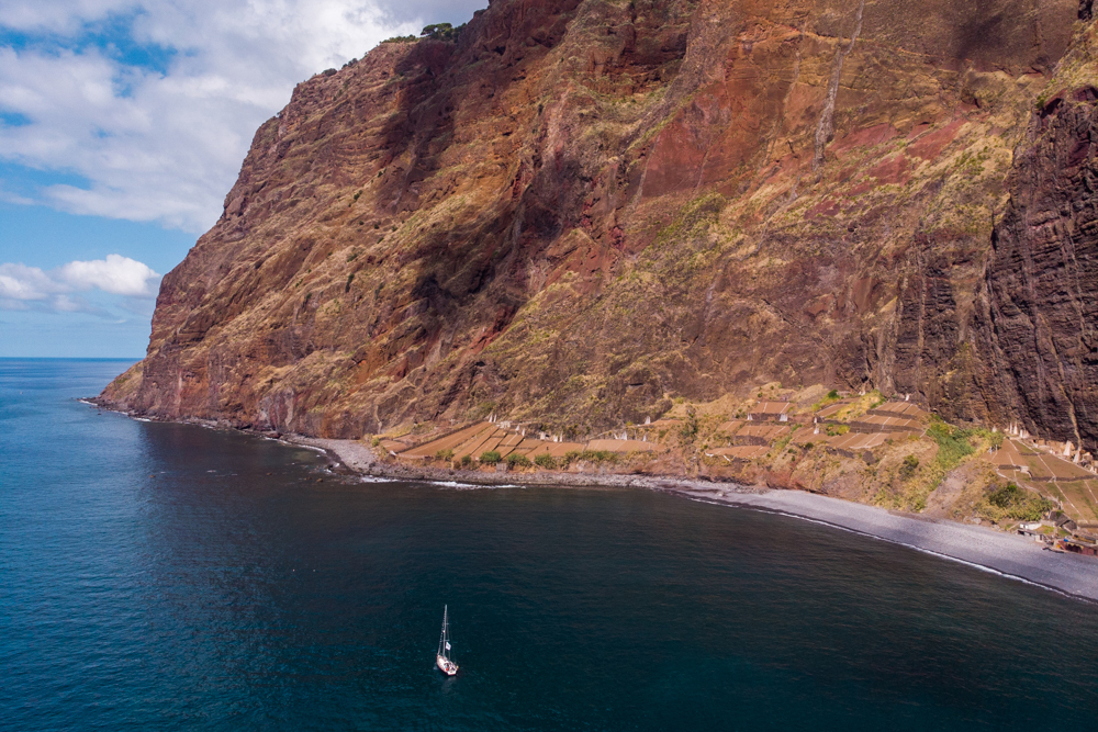 Cosa vedere a Madeira - Tour per l'avvistamento dei delfini
