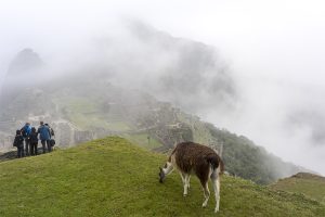 Salkantay Trek - Machu Picchu coperta dalle nuvole