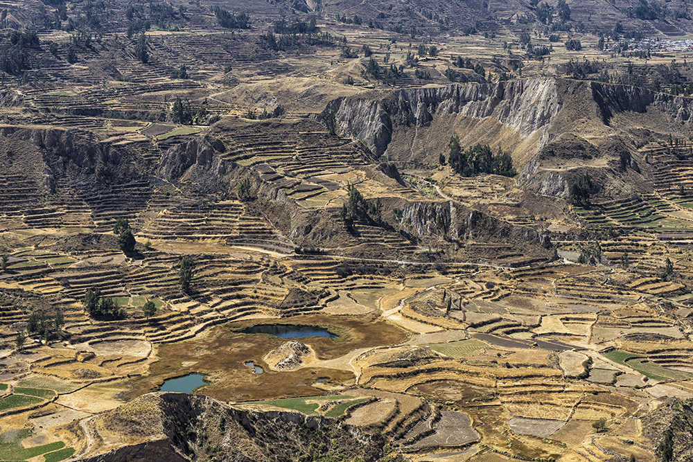 Terrazzamenti visibili al Canyon del Colca