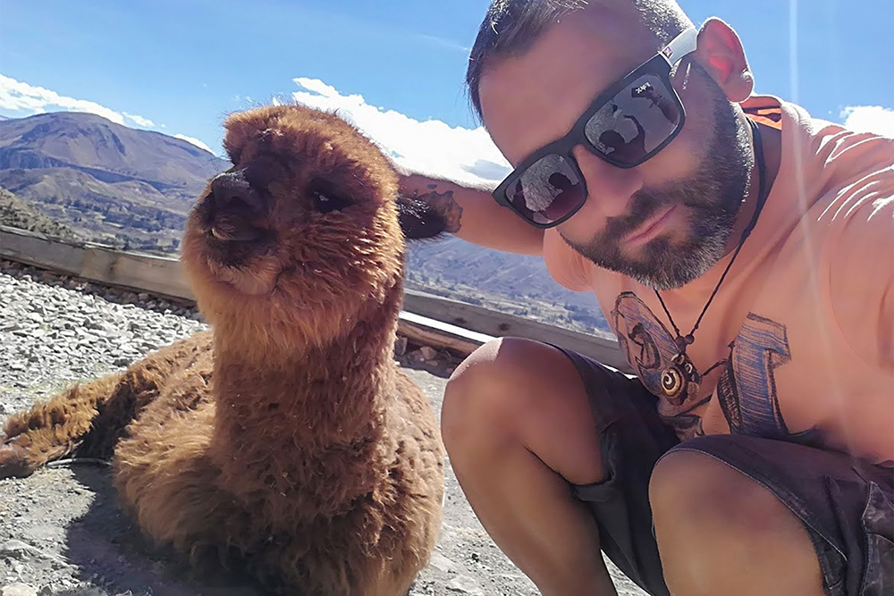 In compagnia di un simpatico Alpaca