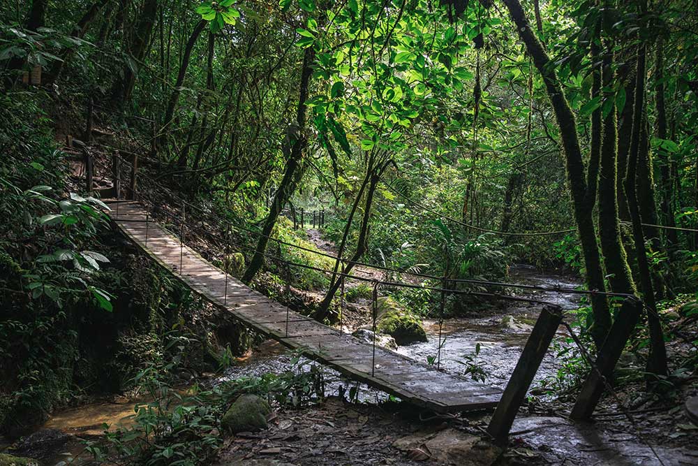 Salento Colombia - Ponte in legno Cascata Santa Rita