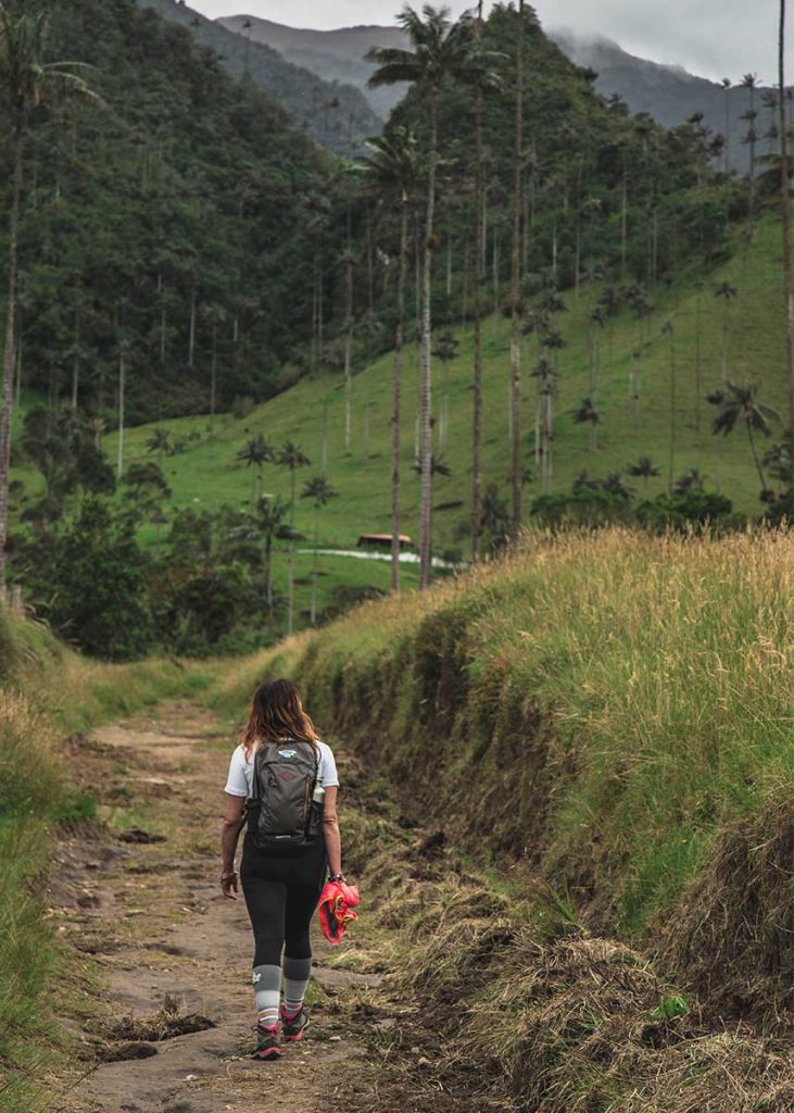 Hiking Valle de Cocora