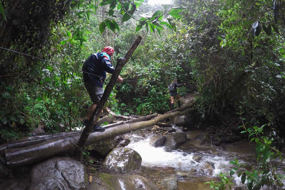 Valle-de-Cocora-Ponte-in-Tronchi