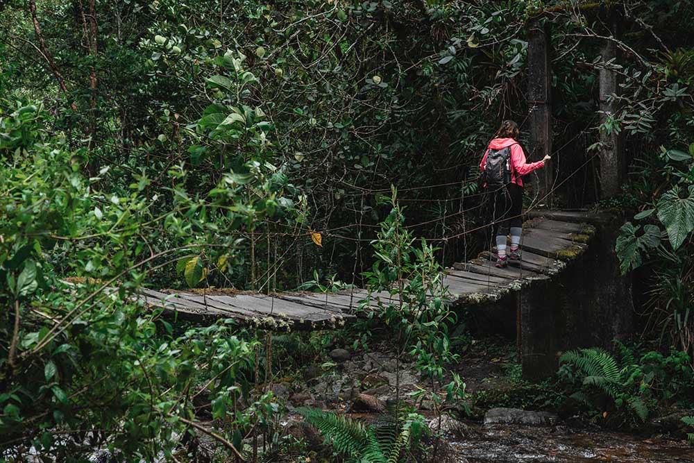 Valle-de-Cocora-Ponte-di-legno