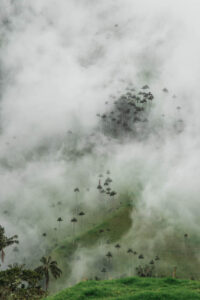 La Carbonera tra le nubi