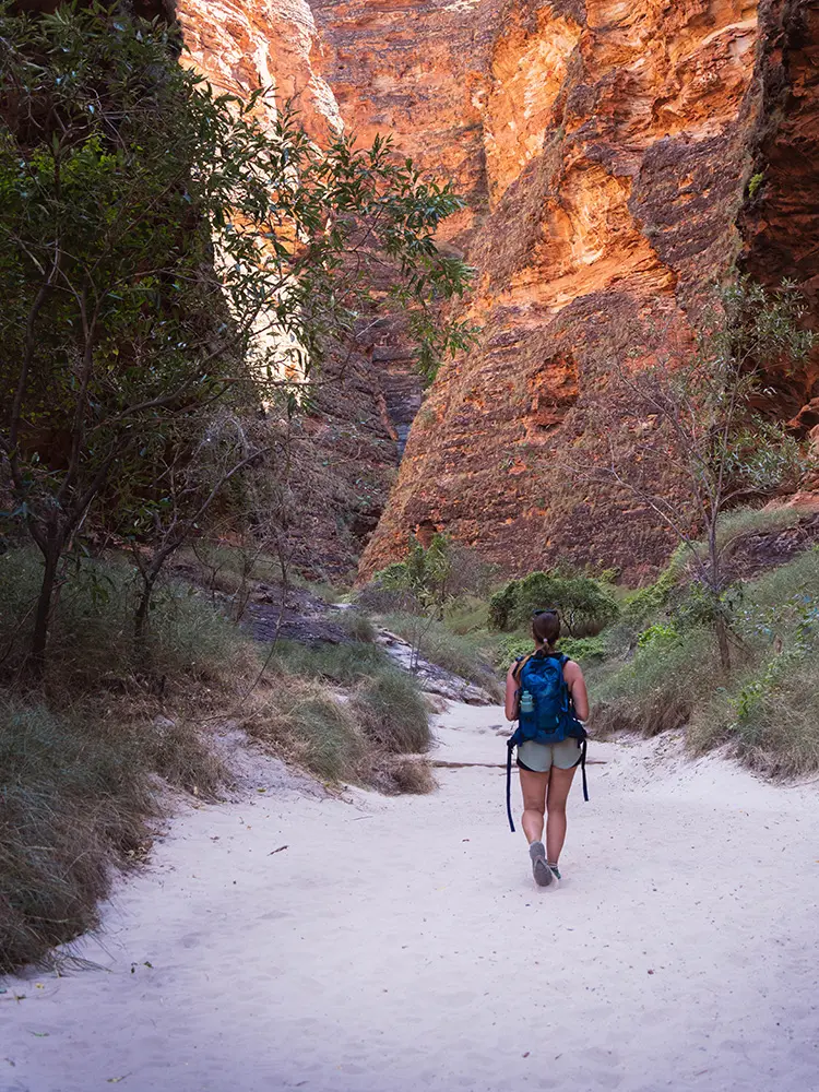 Purnululu National Park - Direzione Cathedral Gorge