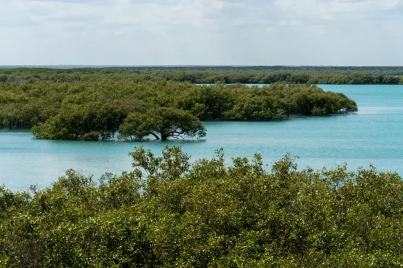 Broome (21) Broome (21)