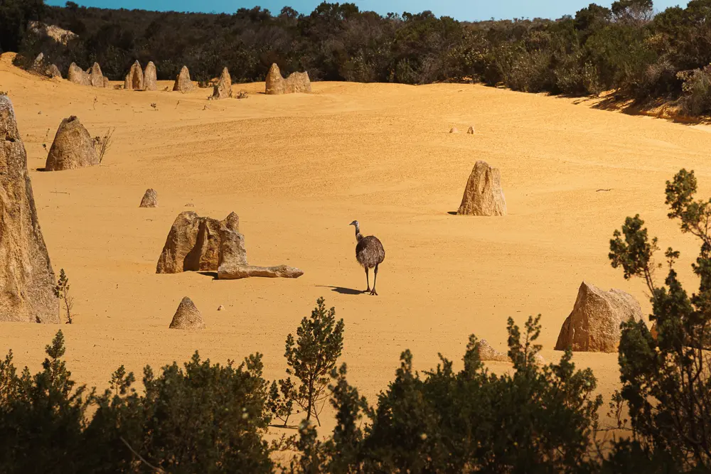 Come organizzare un viaggio in Western Australia (8)