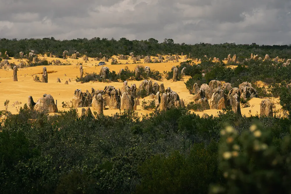Deserto dei Pinnacoli - Parchi nazionali del Western Australia