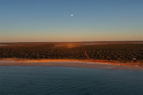 Francois Peron National Park – South Gregories Francois Peron National Park - South Gregories