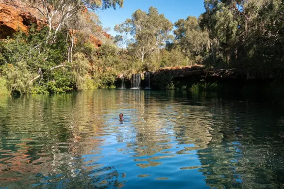 Karijini National Park – Fern Pool Karijini National Park - Fern Pool