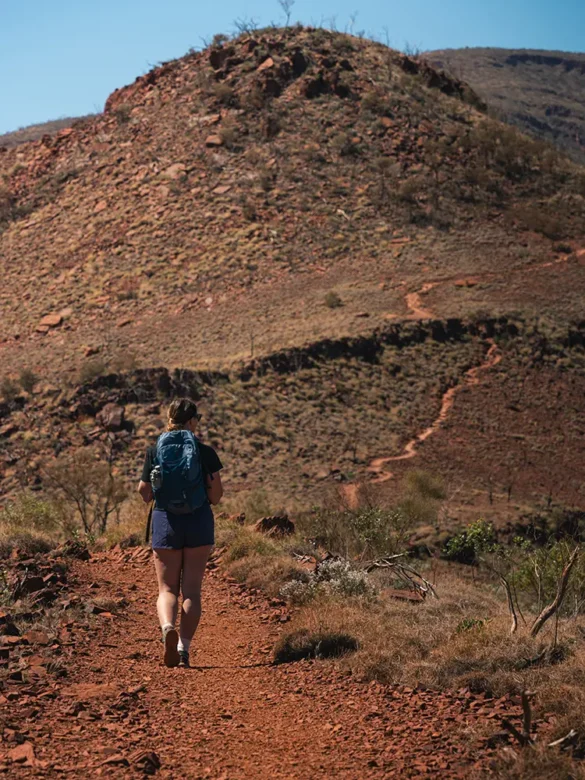 Mount Bruce – Karijini National Park Mount Bruce - Karijini National Park