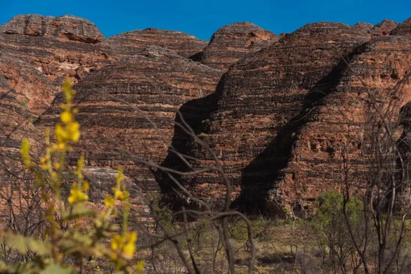 Purnululu National Park – Bungle Bungle Lookout Purnululu National Park - Bungle Bungle Lookout