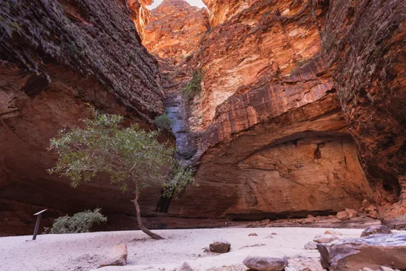 Purnululu National Park – Cathedral Gorge Purnululu National Park - Cathedral Gorge