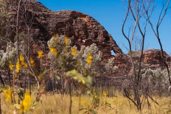 Purnululu National Park – Elephant Rock Purnululu National Park - Elephant Rock