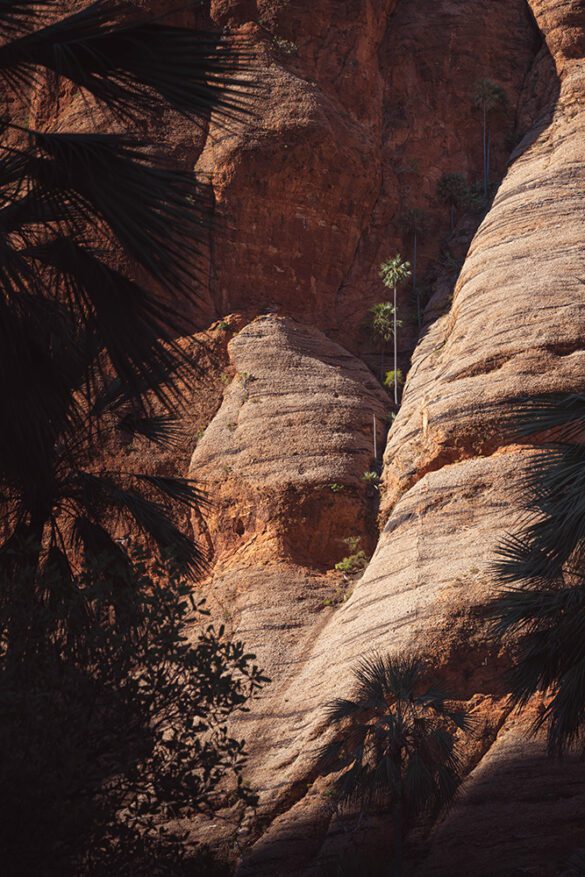 Purnululu National Park – Homestead Valley Purnululu National Park - Homestead Valley