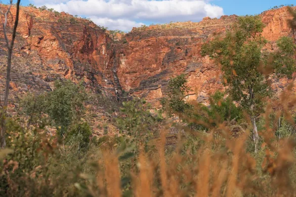 Purnululu National Park – Landscape Purnululu National Park - Landscape