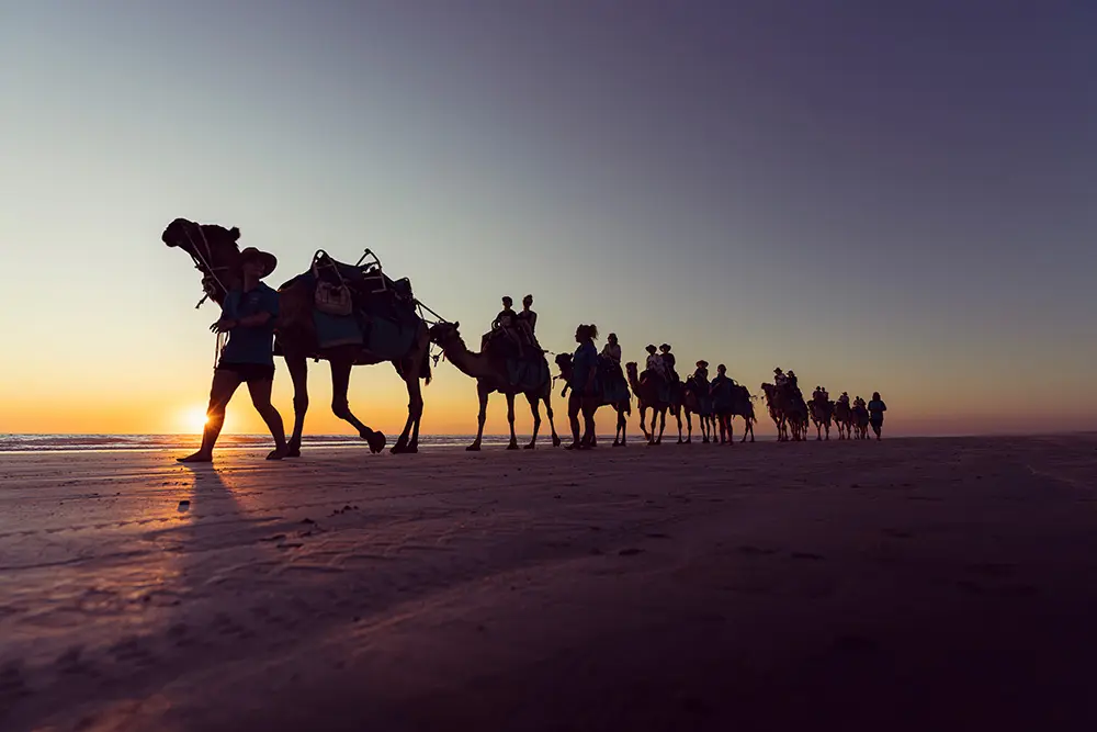 Road Trip nel Nord del Western Australia - Broome - Dromedari a Cable Beach