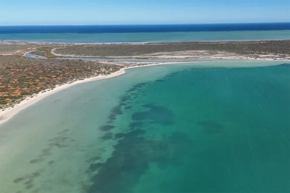 Shark Bay – Little Lagoon Shark Bay - Little Lagoon
