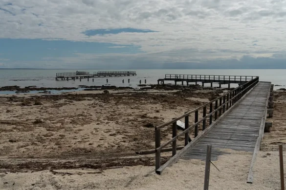 Shark Bay – Passerella distrutta a Hamelin Pool Shark Bay - Passerella distrutta a Hamelin Pool
