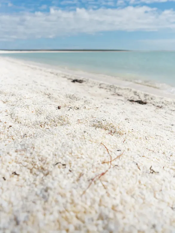 Shark Bay – Shell Beach 2 Shark Bay - Shell Beach 2