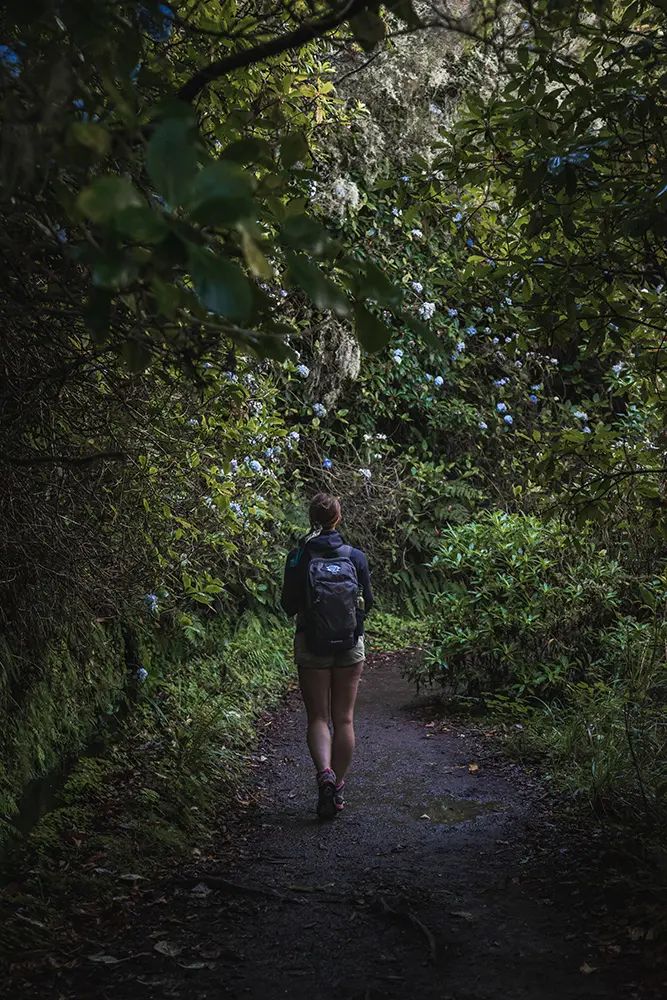 Viaggiare da soli o in coppia - Madeira