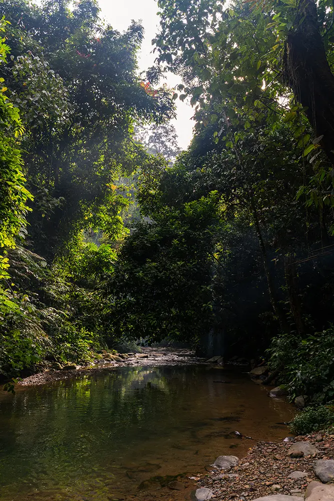 Bukit Lawang - Gunung Leuser National Park