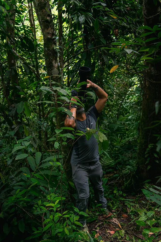 Bukit Lawang - Scattando foto agli oranghi